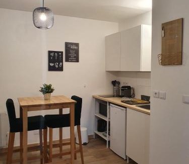 7th Arrondissement Apartment | Studio fonctionnel au calme avec garage individuel et balcon
