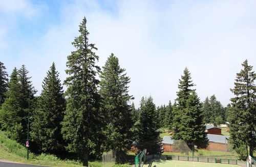 Chamrousse Apartment | Studio for 4 people, near slopes, south-facing balcony, Chamrousse