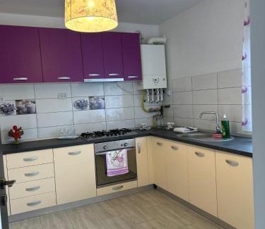 Hunedoara Apartment | studio G&A 2
