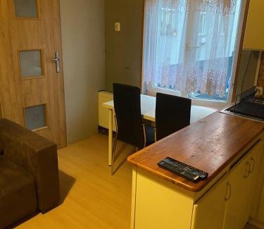 gmina Parzeczew Apartment | studio grey and white DLA PALĄCYCH