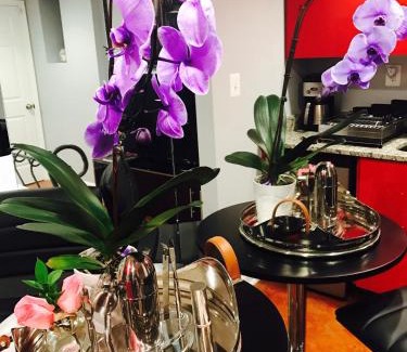 Near Northeast Apartment | Studio H St Corridor