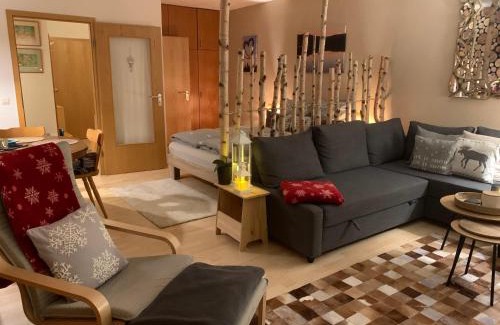 Saig Apartment | Studio Hase Saig