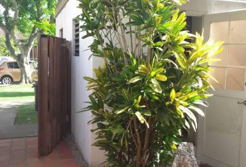 Warners Apartment | Studio Hassel Free