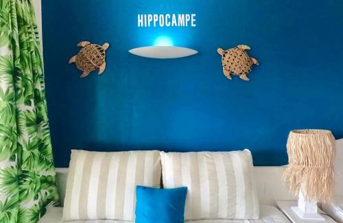 Gros Raisins Apartment | Studio Hippocampe P&V