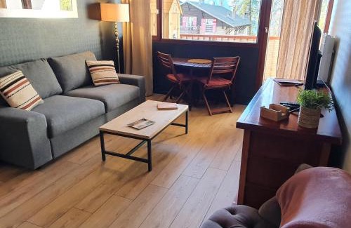 Valberg Apartment | Studio Hyper centre Valberg
