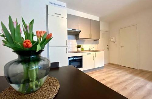 Saint-Josse-ten-Noode Apartment | Studio hypercentre Bruxelles