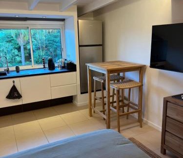 Morne Criquet Apartment | Studio Iguane