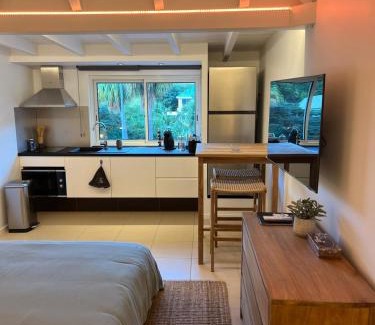 Morne Criquet Apartment | Studio Iguane