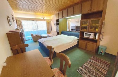Tauplitz Apartment | Studio in Bad Mitterndorf - Steiermark 37017