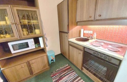 Tauplitz Apartment | Studio in Bad Mitterndorf - Steiermark 37017