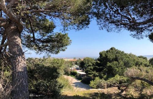 La Palme Apartment | Studio indépendant tout confort pour 4 personnes 25 m carrés