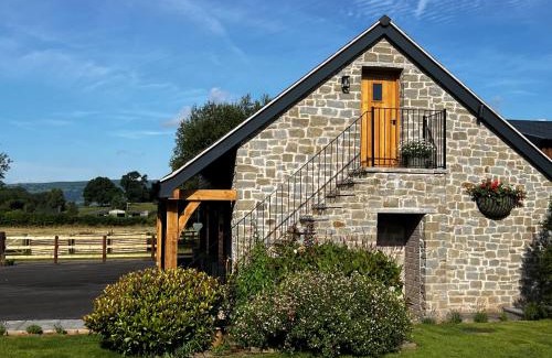 Bettws Newydd Apartment | Studio-King Bed-Wye Valley Views