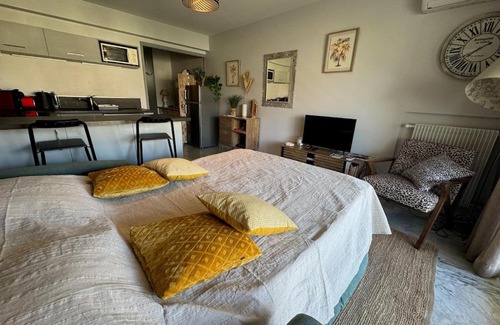 Mandelieu-la-Napoule Beach Apartment | Studio La Napoule 2 min beach 4 people air conditioning