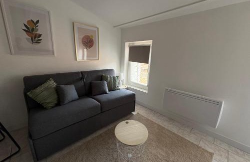 Neuville-sur-Saone Apartment | Studio le cocon aux portes de Lyon