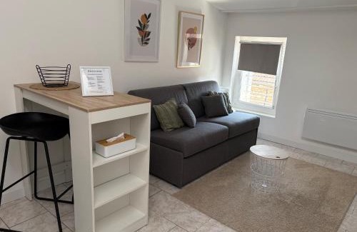 Neuville-sur-Saone Apartment | Studio le cocon aux portes de Lyon