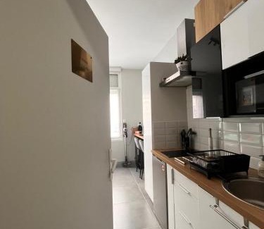 Rosendael Apartment | STUDIO Le Mini Voltaire à 900 m de la plage de Malo-les-Bains