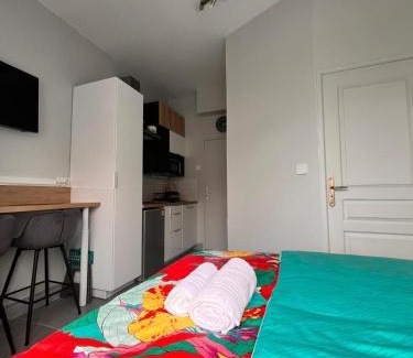 Rosendael Apartment | STUDIO Le Mini Voltaire à 900 m de la plage de Malo-les-Bains