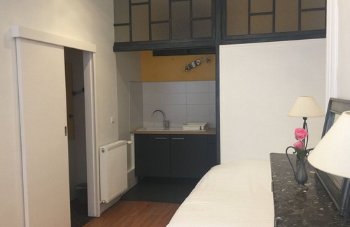 Bagneres-de-Bigorre Apartment | Studio "Les Pivoines", in the city center, 2 people