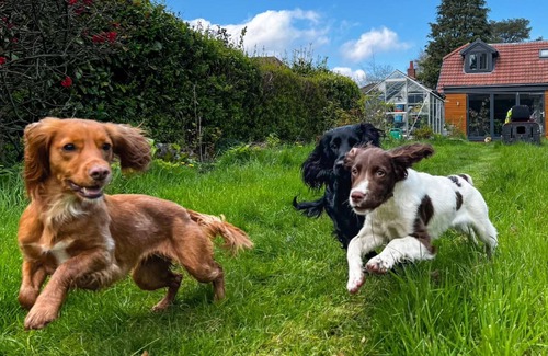 Cofton Hackett Apartment | Studio/Lickey Hills/Near Attractions/Garden/Pet Ok