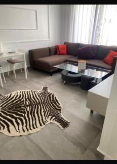 RACINE EXTENSION Apartment | Studio luxueux et contemporain