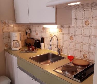 Amelie-les-Bains-Palalda Apartment | Studio Masol avec balcon