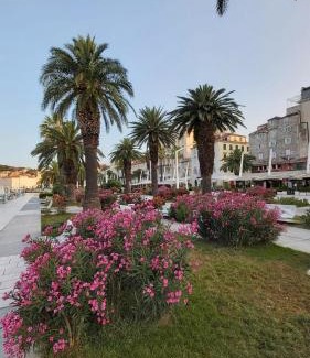 Split Apartment | Studio Mali Jadran