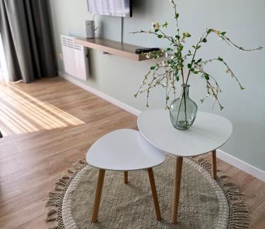 Mariakerke Apartment | Studio MANI