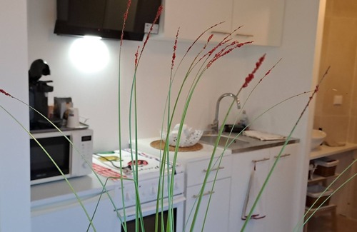 Bandol Apartment | Studio Manon Bandol 2 Personnes Proche Mer