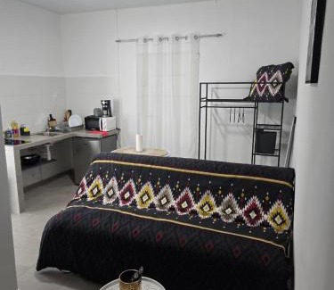 Cayenne Apartment | Studio meublé 9