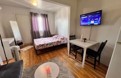 De Lorimier Apartment | Studio Mont-royal & Parthenais