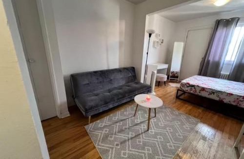 De Lorimier Apartment | Studio Mont-royal & Parthenais