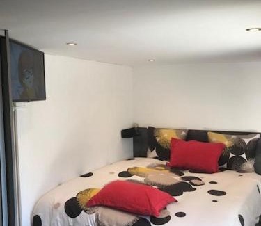 Meyzieu Apartment | Studio Moovy Proche Stade Groupama, LCLD ARENA , Eurexpo Lyon
