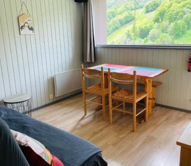 Besse-et-Saint-Anastaise Apartment | Studio pied de pistes Tour de la Biche