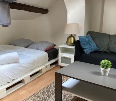 Parc-de-Montsouris Apartment | Studio Place d’Italie/Denfert-Rochereau