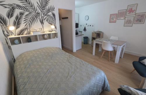 Amelie-les-Bains-Palalda Apartment | Studio Rue Castellane pour Cure ou Tourisme Vert à 2 min des Thermes