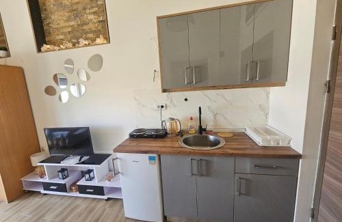 Prokuplje Apartment | Studio