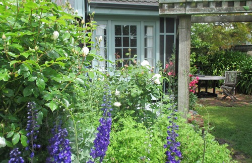 Greytown Cottage | Studio set in beautiful english cottage gardens