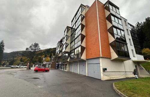 La Bresse Apartment | Studio situé au pied des pistes de LaBresse