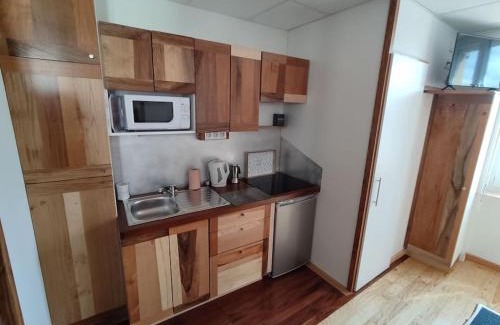 Roanne Apartment | Studio sympa et très calme entre canal et Loire