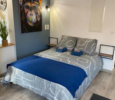 Horbourg-Wihr Apartment | Studio tout confort, à 2 min de Colmar