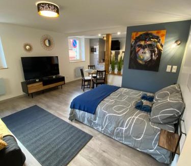 Horbourg-Wihr Apartment | Studio tout confort, à 2 min de Colmar