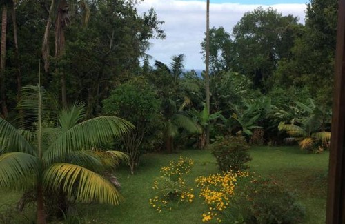 Sainte-Rose Bed & Breakfast | Studio Vavangue