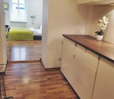 Katowice Apartment | Studio Wiola Centrum