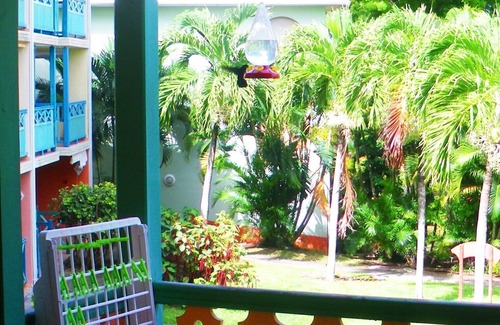 Sainte-Anne Apartment | Studio with balcony close to the beach