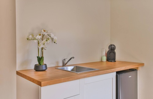 Alkmaar House | Studio with garden