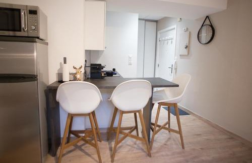 Saverne Apartment | Studio zone piétonne à Saverne