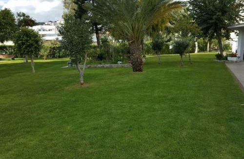 La Cala del Moral Apartment | STUDY NEAR MALAGA AND THE BEACH