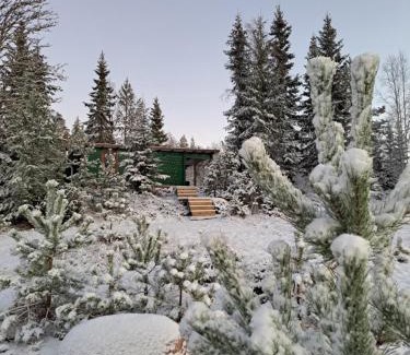 Orskogen Apartment | Stuga Skogsmagi