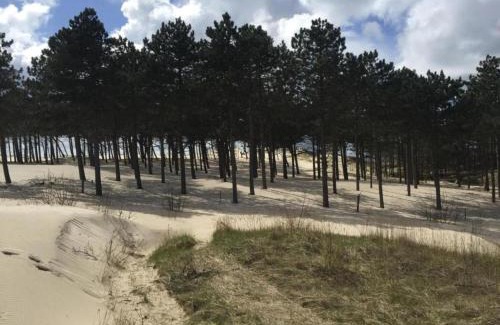 Schoorl Apartment | Stunning apartment in Schoorl, North Hollandâ you can bike to the beach