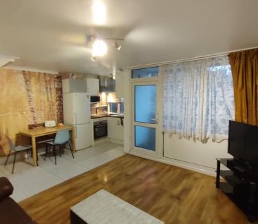 Tottenham Apartment | Stunning apartment private garden